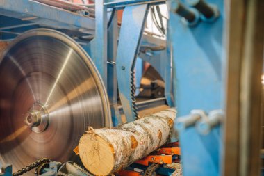 Daire testere, kereste fabrikasında kereste talaşlarının etrafa saçıldığı ve makinelerin görüldüğü bir kütüğü keserek kereste üretiminin endüstriyel sürecini vurguluyor.