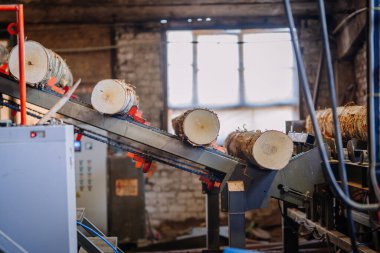 Kütükler kereste fabrikasındaki bir taşıyıcı bant boyunca hareket ediyor, odun işleme ve kereste üretiminde kullanılan endüstriyel çevrenin ve makinelerin altını çiziyor
