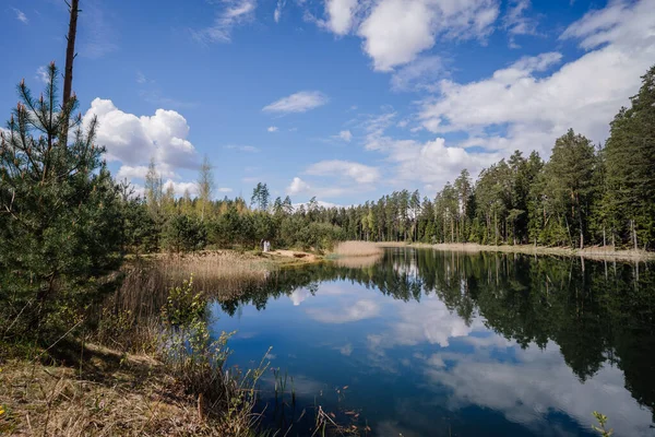 Gökyüzü ve ağaçların net yansımaları ile sakin göl sahnesi, canlı yeşillikler ve otlarla çevrili, doğayla bir bağ ve sakinlik hissi uyandırıyor.