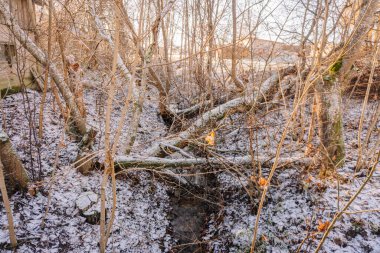 Karla kaplı zemin ve çıplak ağaçlarla kaplı donmuş bir derenin manzarası doğal ortamda huzurlu ve sakin bir ortam yaratıyor.