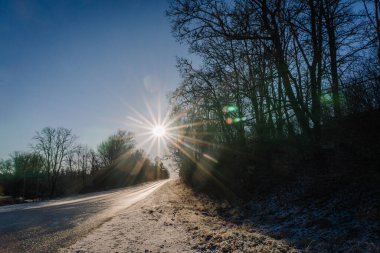 Ağaçların çerçevelediği karlı bir yolda güneş ışığı ışıldar, berrak mavi gökyüzü ve doğanın güzelliğini arttıran parlak yansımalarla sakin bir kış atmosferi yaratır.