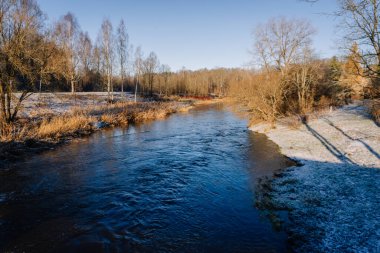 Kış sahnesinde, çıplak ağaçlar ve altın otlarla donan sakin bir nehir, huzur ve doğal güzelliği çağrıştırıyor.