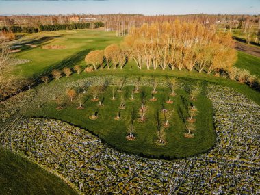 Genç ağaçlarla çevrili canlı bir meyve bahçesinin hava perspektifi, iyi bakımlı bir çimenlik ve renkli sonbahar ağaçları ile çevrili, sakin manzarayı aydınlatıyor.