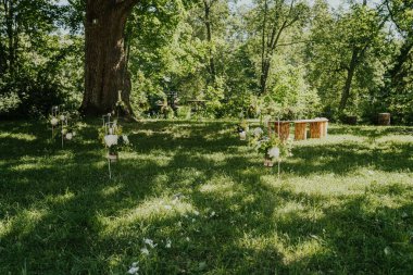 Görkemli bir ağacın altındaki yemyeşil çimlere yerleştirilmiş çiçeklerle süslenmiş güzel bir düğün sahnesi aşk ve neşe için huzurlu ve büyüleyici bir ortam sunuyor.