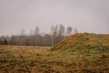 Serene puslu manzara çimenli tepecikler ve seyrek ağaçlar sergiliyor, yumuşak ışık ve sessiz renklerle sakin bir atmosfer yaratıyor, doğa temalı projeler için ideal.