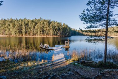 Sakin bir göl sahnesinde durgun sulara açılan ahşap bir rıhtım, canlı ağaçlar ve parlak mavi bir gökyüzü, bir huzur ve rahatlama hissi uyandırıyor.
