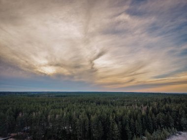 Bereketli yeşil orman, yumuşak bulutlarla dolu dramatik bir gökyüzü altında doğal ortamda huzurlu ve sakin bir atmosfer yaratıyor.