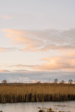 Durgun bir su kütlesinin sakin sahnesi, üzerinde yumuşak pastel bulutlar, doğal ortamda sakin bir atmosfer yaratıyor.