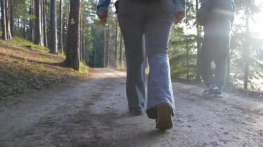 Smiltene, Letonya - 23 Kasım 2025: Kadın yürüyüşçü, yoldaş ve köpekle birlikte orman yolunda yürüyor, kamera, doğayı yakalayan pürüzsüz bir hareketle takip ediyor