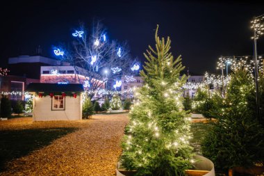 Valmiera, Letonya - 30 Kasım 2025: Güzel ışıklandırılmış ağaçların ve şenlikli dekorasyonların yer aldığı bir Noel ağacının gece manzarası neşeli bir ortam yaratıyor