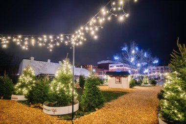 Valmiera, Letonya - 30 Kasım 2025: Şenlikli Noel Pazarı 'nda yanan ağaçlar ve yanıp sönen ışıklar, ziyaretçiler için sıcak bir kış ortamı yaratıyor