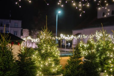 Valmiera, Letonya - 01 Aralık 2025: Parlak ışıklarla süslenmiş Noel ağaçlarının yer aldığı neşeli bir tatil atmosferi yaratan açık hava manzarası