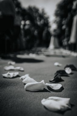 Bulanık ağaçlarla çevrili, dağılmış beyaz gül yaprakları romantik ve huzurlu bir atmosfer yaratıyor, düğünler ya da özel günler için mükemmel.