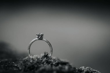 Serin yosunların üzerine yerleştirilmiş parlak bir mücevher yüzüğünün bulunduğu gümüş yüzük, çevrenin incelikli işçiliğini ve doğal güzelliğini vurguluyor.