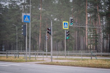 Yol boyunca, bereketli ağaçlar tarafından çerçevelenmiş trafik işaretleri ve yaya işaretleri görülebiliyor, sakin bir açık hava ortamında güvenlik ve seyrüsefer vurgulanıyor