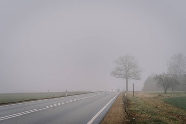 Riga, Letonya - 19 Aralık 2025: Huzurlu sisli yol sahnesi yalnız bir ağaç ve çimenlik alanlar, seyahat ve doğa fotoğrafçıları için ideal