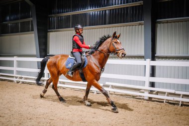 Riga, Letonya - 08 Kasım 2019: Kadın binici, kumlu zemin ve beyaz çitlerin yer aldığı kapalı bir arenada kahverengi bir ata biniyor