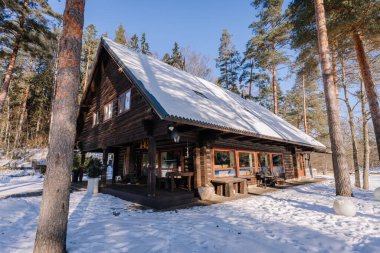 Kuldiga, Letonya - 30 Ocak 2026: Eğik çatılı ahşap kulübe ve karlı bir ormanda geniş pencereler, yüksek çam ağaçları ve parlak mavi gökyüzü ile çevrili