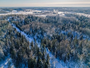 Karla kaplı kozalaklı ağaçlar ve açık tarlaların yer aldığı kış ormanlarının hava perspektifi, yukarıda açık mavi bir gökyüzü ve arka planda uzak tepeler