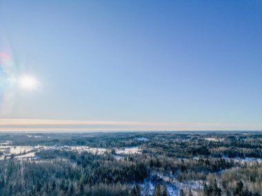Karla kaplı ağaçların ve berrak mavi gökyüzünün bulunduğu kış ormanı manzarası. Güneş, sakin kırsal bölgede parlıyor.