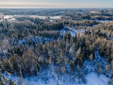 Karla kaplı zemin ve arka planda yemyeşil ve çıplak yapraklı ağaçlar da dahil olmak üzere çeşitli ağaçların yer aldığı bir kış ormanının hava perspektifi.