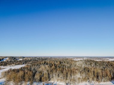 Bitmeyen yeşil ağaçlar ve berrak mavi gökyüzü ile karlı orman manzarası, sakin kış manzarasını ve arka plandaki uzak tepeleri vurguluyor.