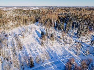 Karla kaplı zeminli bir kış ormanının havadan bakış açısı gölgeler bırakan yeşil ağaçlar ve sakin manzarada görünen dolambaçlı bir yol.