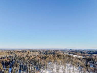 Açık mavi gökyüzünün altında karla kaplı zemin ve yemyeşil ağaçların yer aldığı bir kış ormanının hava perspektifi doğanın sükunetini vurguluyor.