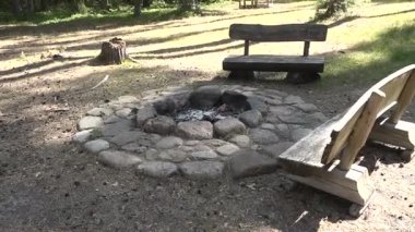 Ortasında küller olan taş ateş çukuru, güneşli bir ormandaki ahşap banklarla çevrili, ağaçlarla kaplı, yerde gölgeler bırakan.