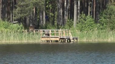 Tahta iskele sakin göl sularının üzerine uzanır, canlı yeşil yapraklar ve uzun ağaçlarla çerçevelenir, sakin bir açık hava manzarası yaratır.
