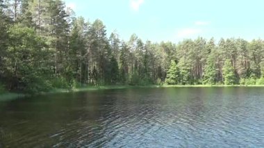 Berrak su ile sakin göl manzarası etrafındaki ağaçları ve mavi gökyüzünü yansıtıyor, bereketli bir orman ortamında sakin bir atmosfer yaratıyor.