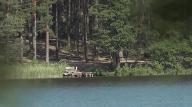 Sakin bir göl kenarındaki ahşap bir rıhtımın manzarası canlı yeşillikler ve yüksek ağaçlarla çerçevelenmiş, doğanın barışçıl özünü gözler önüne seriyor.
