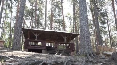 Ormandaki yüksek çam ağaçlarıyla çevrili ahşap kulübe yapısı eğimli bir çatı ve kırsal tasarım unsurları barındırıyor.