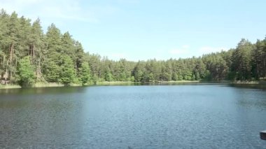 Canlı yeşil ağaçlarla çevrili sakin bir göl ve berrak bir gökyüzü, sakin bir açık hava ortamında huzurlu bir doğal manzaranın özünü yakalıyor.