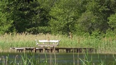 Ahşap iskelede yemyeşil bir bankın ortasında, kıyı şeridi boyunca ilerleyen bir figür var.