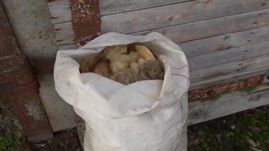 Koyun yünleriyle dolu çuval eskimiş ahşap bir çite dayanır, kırsal bir ortamda yünün yumuşak dokusunu ve topraksı tonlarını vurgular.