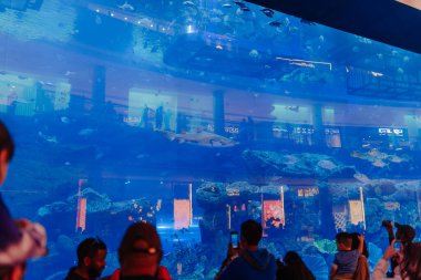 Dubai, Birleşik Arap Emirlikleri - 14 Ocak 2026: Bir alışveriş merkezinde fotoğraf çeken ziyaretçiler tarafından çevrelenmiş çeşitli balık ve deniz canlılarıyla dolu büyük bir akvaryum
