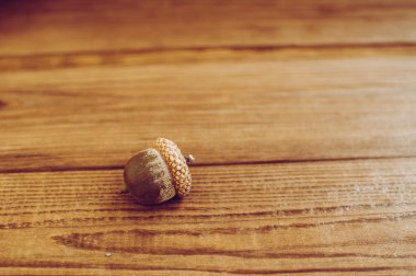 Bazı meşe palamutları ahşap tablo