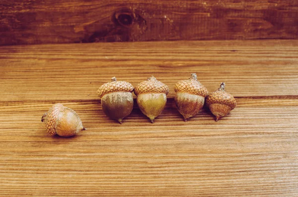 Algunas bellotas en la mesa de madera —  Fotos de Stock