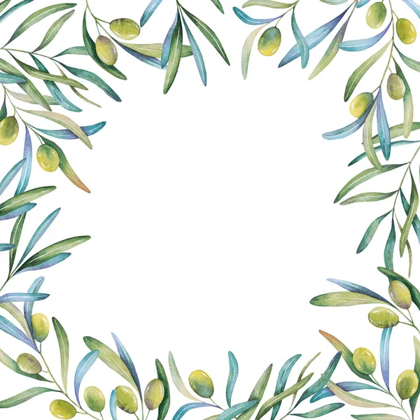 Aquarell Quadratischer Rahmen Aus Olivenzweig Blätter Illustration Für Grußkarten Druck — Stockfoto