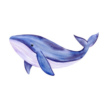 Deniz ve Denizcilik Teması İçin Suluboya Mavi Balina ResimleriName