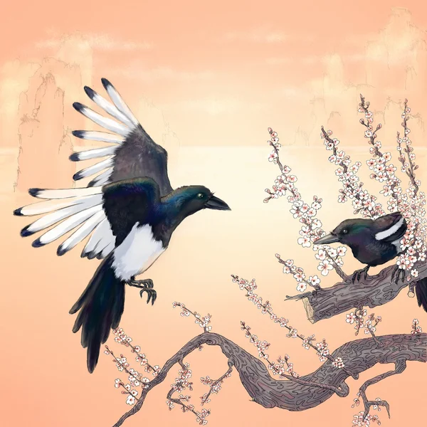 Sakura dalı üzerinde iki magpies