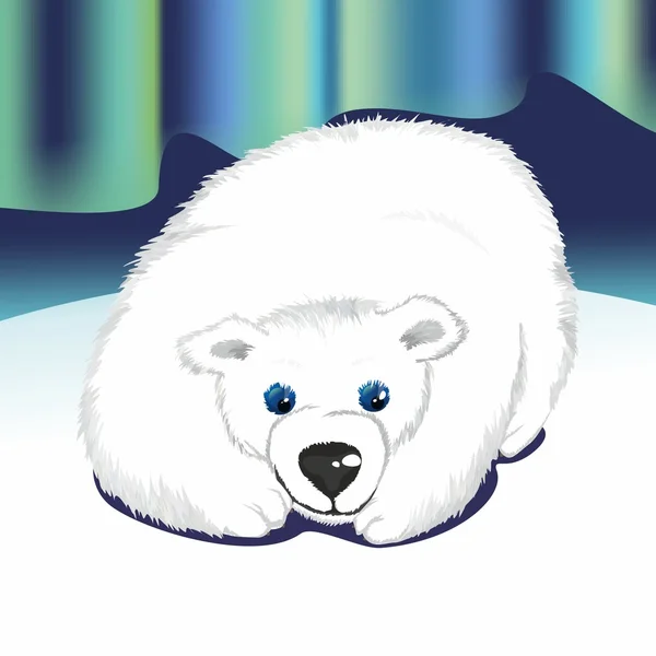 A polar bear — Stock Photo, Image