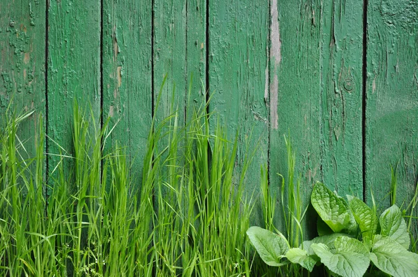 Eski bir çit bir arka plan üzerinde çim