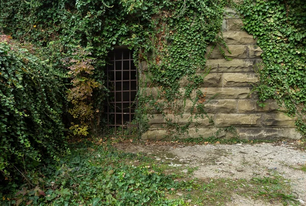 Eski taş duvar ile bir demir kapı ve yeşil sarmaşık