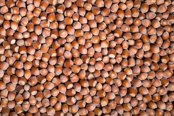 Fındık arka plan. Yığın fındık.