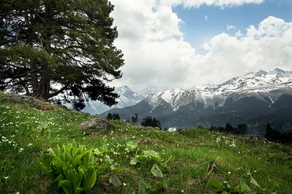 Dağ zirveleri ve buzullar Arkhyz, Batı Kafkasya, Rusya Federasyonu