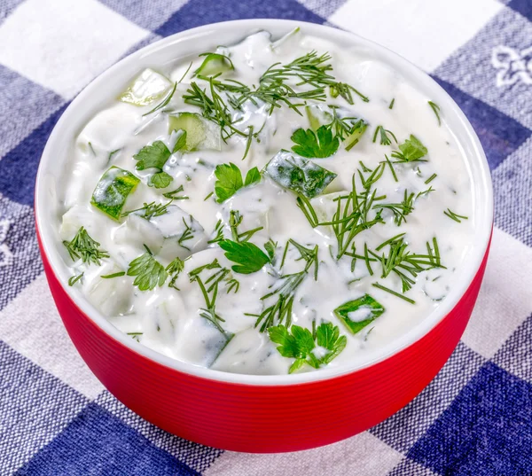 Bir peçete üzerinde kırmızı bir kase yoğurt salatalık dereotu salata yakın çekim — Stok fotoğraf