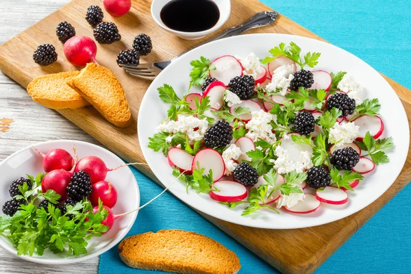 Ensalada de rábano, mora, queso de cabra y perejil bajo en calorías —  Fotos de Stock