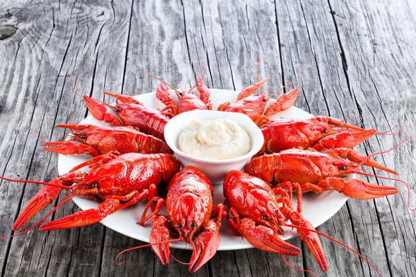 Cangrejos de río rojos cocidos en un plato blanco, primer plano — Foto de Stock